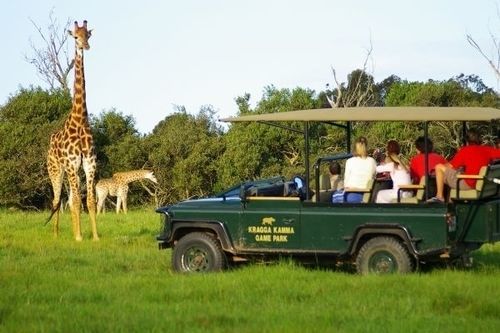 Отель Kragga Kamma Game Park Порт-Элизабет Экстерьер фото
