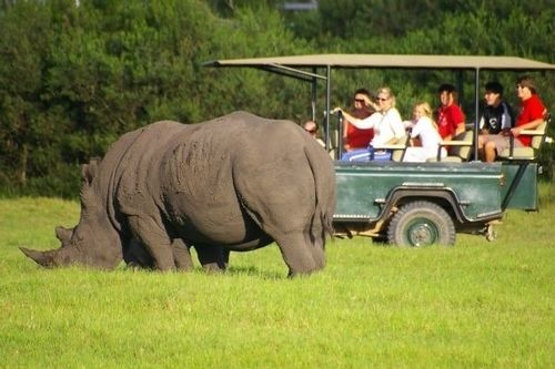 Отель Kragga Kamma Game Park Порт-Элизабет Экстерьер фото