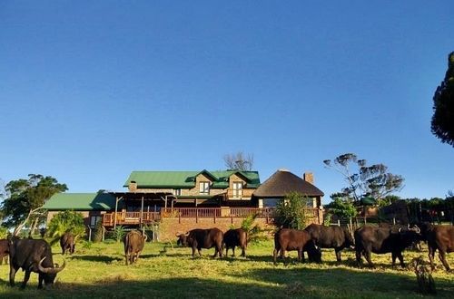 Отель Kragga Kamma Game Park Порт-Элизабет Экстерьер фото
