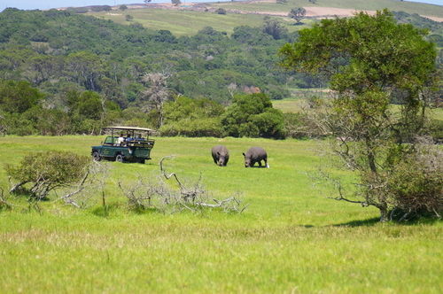 Отель Kragga Kamma Game Park Порт-Элизабет Экстерьер фото