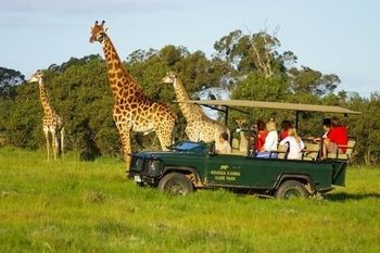 Отель Kragga Kamma Game Park Порт-Элизабет Экстерьер фото